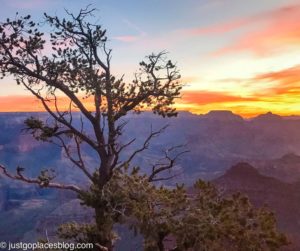 What You Need To Know To Make The Most of Visiting the Grand Canyon in ...